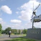 Direct Mail Services Surrey