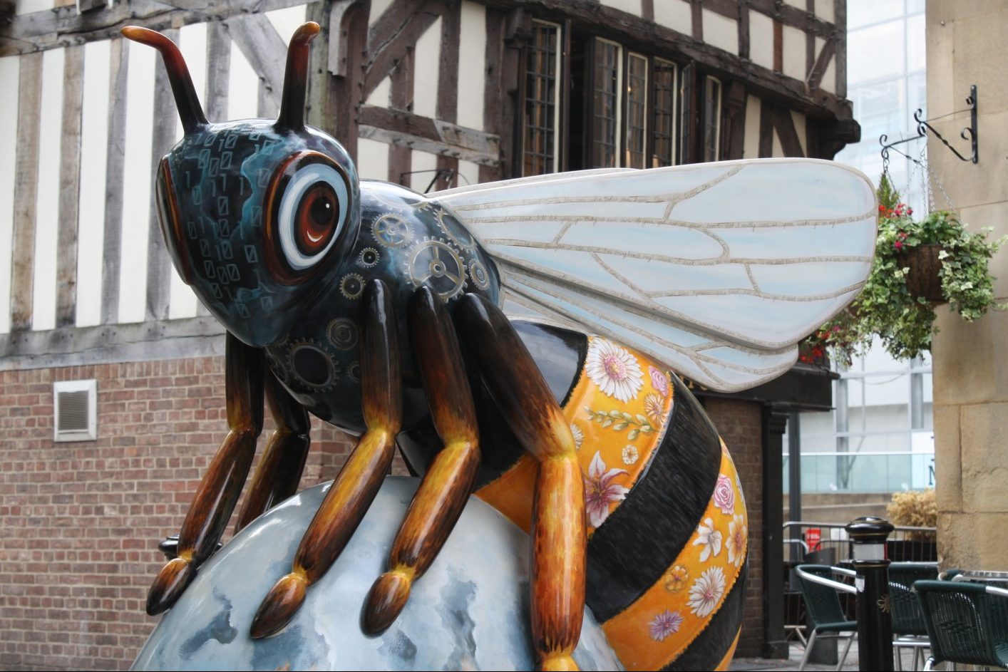 Manchester Bee